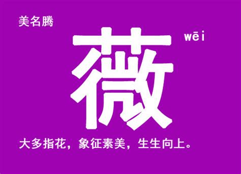 薇名字|带薇字的女孩名字